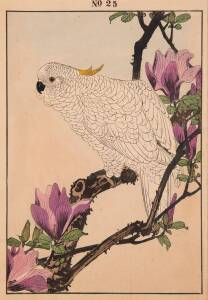 IMAO Keinen (Japanese, 1845-1924）"Lily Magnolia with Lesser Sulphur-crested Cockatoo"; 1890   hand-coloured woodblock print. 