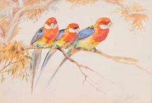 Violet Bartlett (act. Circa 1920) Three Rosellas