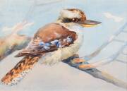 Violet Bartlett (act. Circa 1920) Kookaburra watercolour