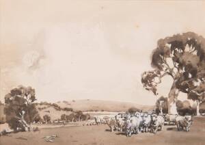 C M O'Reilly Summer Flock