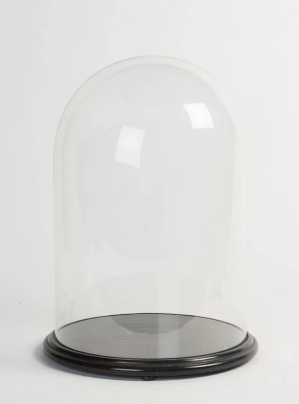 A large glass dome and base, 19th Century. 58cm high, 38cm diameter