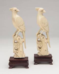 A pair of Chinese carved ivory birds on timber bases, 20th Century. Ivory 13cm. &diams;