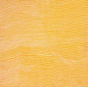 YALTI NAPANGARDI (Born circa 1970), Untitled (2006), synthetic polymer paint on linen, 91 x 91cm.Provenance: Papunya Tula Artists, Northern Territory, Cooinda Gallery, NSW, The Alex & Annette Hood Collection, NSW 