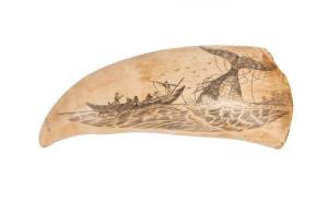 A scrimshaw whale's tooth decorated with whaling scene. 13cm. &diams;