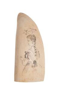 A scrimshaw whales's tooth with female portrait "Emily". 14cm. &diams;