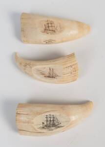 Three scrimshaw whale's teeth with engraved tall ships. Longest 14cm. &diams;