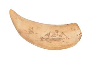 A scrimshaw whale's tooth with tall ship. 14cm. &diams;