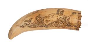 Two scrimshaw whale's teeth. 7cm & 8cm. &diams;