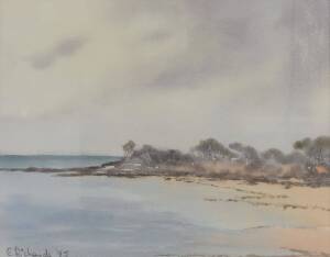 ELIZABETH RICHARDS, Swan Island 1985, watercolour, signed and dated lower left, 25 x 35.5 cm