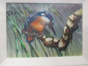 Paul Margocsy (b. 1945), Azure Kingfisher, Gouache, signed and titled lower left. 12.5cm high, 18cm wide