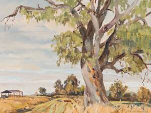 MICHAEL COLMCILLE: A pair of Australian School landscape water colours, signed & dated lower left 1967. Together with a landscape, oil on board, signed and dated lower right 1967. Largest: 29 x 39cm.&nbsp;&nbsp;