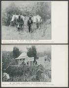 ENTERTAINMENT: c.1907 Colonial Picture Combine "The Story of the Kelly Gang" Numbers 1 "Ned Kelly Shoots Constable Fitzpatrick" to 12 "Ned Kelly in Armour" missing only Number 10, unused & generally fine to very fine. Ex Bronte Watts. Filmed in 1906, th - 3