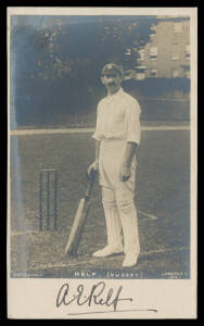 SPORT c.1905 (?) Rapid real photo of "Relf (Sussex)" & signed "AE Relf", unused. [Albert Edward Relf played in two Test Matches in 1903. In First Class matches, he made 22,238 runs, and achieved the season "double" of 1000 runs & 100 wickets eight times! 