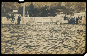 1910 (c. ?) real photos inscribed on the reverse "£2000 worth of whalebone from the Campbell Islands drying in Picton..." and "Herrings stranded on the beach at Picton", a few faults. (2)