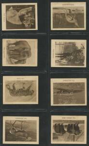 c1900-67 cards in album, noted c1930s Monkey Brand "Animals" [32]; c1930s McKenzies "Flags of the Empire" [9/14 known]; 1938 Hoadleys "The Birth of a Nation" [50]. Fair/VG.