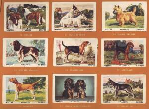 c1900-77 cards in albums, noted 1914-15 Wills "Dogs" 1st Series [20] & 2nd Series [20]; 1928 CWS "Wayside Flowers" [48]; 1936 Churchman "Legends of Britain" [50]; range of Malties albums. Fair/VG.