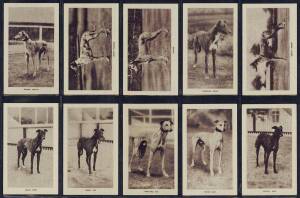 1927 Ogdens "Greyhound Racing" [25];&nbsp;1928 Ogdens "Greyhound Racing" [25]; 1939 B.Morris & Sons "Racing Greyhounds" [25]. G/VG.