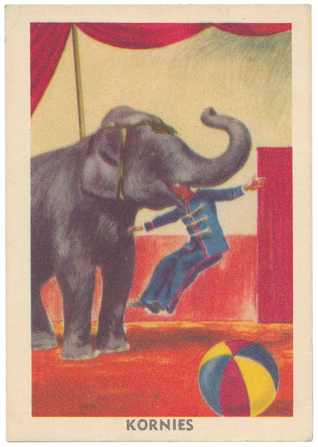 1954 Kornies Circus Champions , complete set [48]. Mainly G/VG.