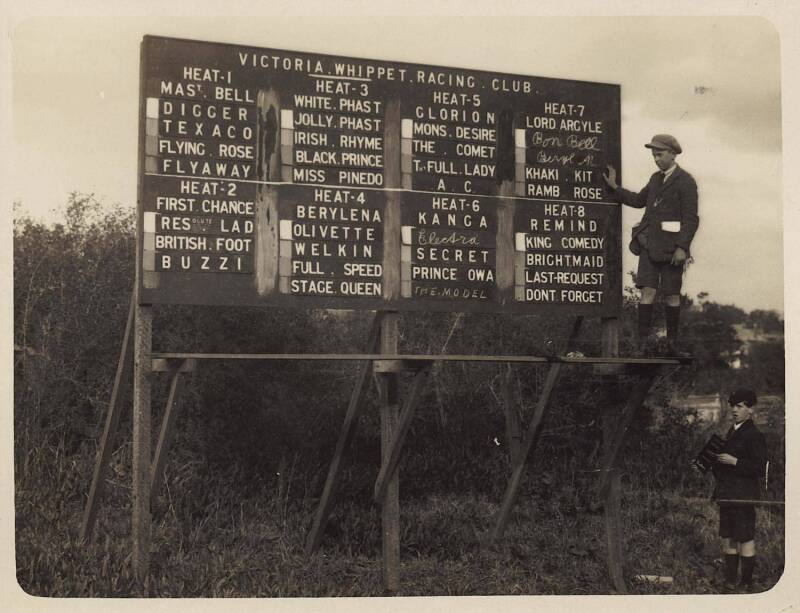 VICTORIAN WHIPPET RACING CLUB: Lovely group of historic photographs, most with captions, c1924-32, each 31x25cm.