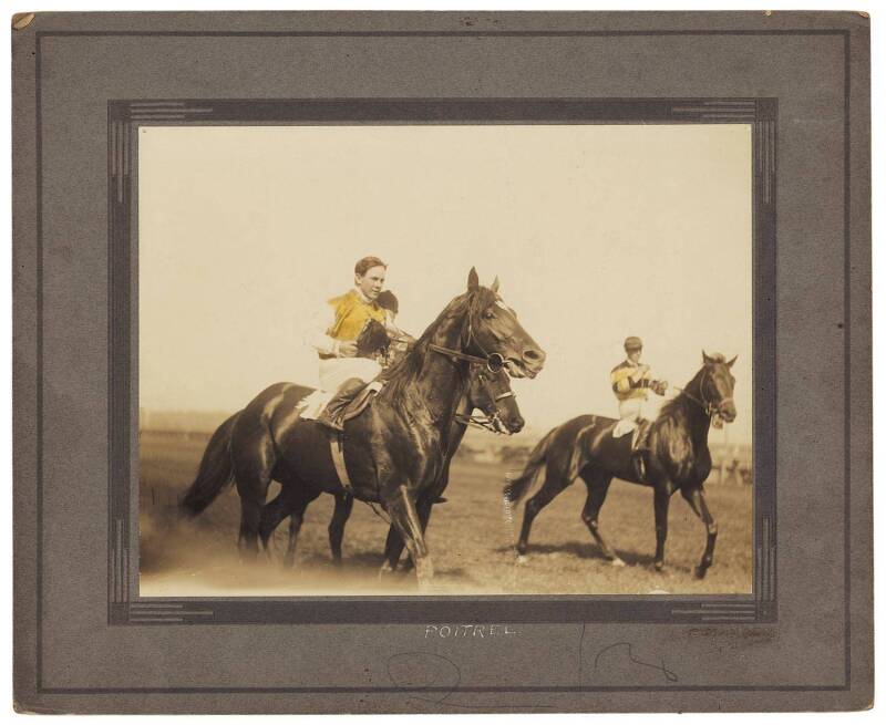 POITREL (winner of 1920 Melbourne Cup with a massive 10 stone - 63.5kg), original hand-tinted photograph, size 31x25cm.