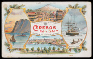 Picture Postcards comprising 1907-09 British Antarctic Expedition "Joyce, Dogs & Penguins" & "Ponies on arrival in Antarctic" (Wharton GA-3 & GA-5); British Cerebos Table Salt advertising card with views including the "Discovery" in the Antarctic (minor b