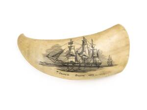 A scrimshaw whale's tooth by Gary Tonkin titled "James Booth, 1851", 20th Century. 17cm