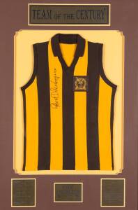 ROBERT DIPIERDOMENICO'S HAWTHORN TEAM OF THE CENTURY JUMPER: Display "Team of the Century - Robert Dipierdomenico 9", with Hawthorn jumper with "Team of the Century/ Hawthorn Football Club" badge, signed by Robert DiPierdomenico, window mounted with plaqu