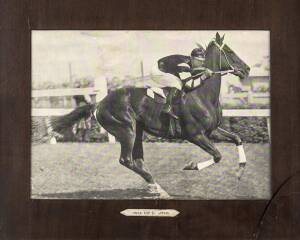 PHAR LAP: "Phar Lap in Action", supplement from 'The Chronicle' April 1932, window mounted, framed & glazed (glass cracked), overall 63x53cm.