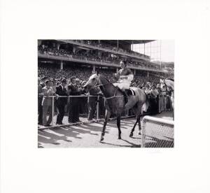 "Roy Higgins and Gunsynd, after winning the Cox Plate, Moonee Valley 1972", b/w photograph, signed by the photographer Bruce Postle, window mounted, framed & glazed, overall 63x57cm.&nbsp;