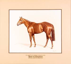 ROSE OF KINGSTON: "VRC Australia's Champion Racehorse 1982, Rose of Kingston, ch.f.1978 Claude (Ity)-Kingston Rose", display with photo of painting by Michael Jeffery (1941-2013), framed & glazed, overall 82x73cm. Ex Bob Hoysted collection.