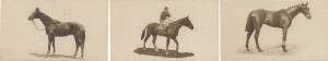 1926 Sandorides (Lucana cigarettes) "Famous Racehorses", complete set [50]. G/VG.
