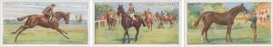 1926 Players "Racehorses" [25]; 1927 Ogdens "Jockeys & Owners Colours" [50]; 1931 Muratti "Australian Racehorses" [24]. G/VG.