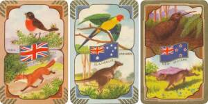 1956 Coles trade cards, "1956 Olympic Games", 3rd series with birds & animals, complete set [28]. Mainly G/VG.