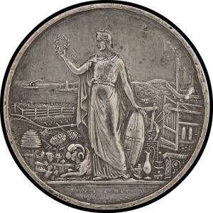 MEDALLIONS: White metal (47mm) Stokes & Martin commemorative medallion, reverse female figure representing Victoria holding wreath, surrounding symbols of trade, industry and agriculture, Carlisle 1872/3, couple of rim dents, VF.
