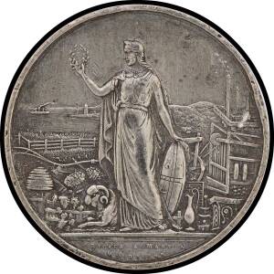 MEDALLIONS: White metal (47mm) Stokes & Martin commemorative medallion, reverse female figure representing Victoria holding wreath, surrounding symbols of trade, industry and agriculture,&nbsp;Carlisle 1872/3, couple of rim dents, VF.