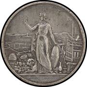 MEDALLIONS: White metal (47mm) Stokes & Martin commemorative medallion, reverse female figure representing Victoria holding wreath, surrounding symbols of trade, industry and agriculture,&nbsp;Carlisle 1872/3, couple of rim dents, VF.