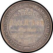 MEDALLIONS: Silver (35mm) by Altmann, 'GEELONG INDUSTRIAL & JUVENILE EXHIBITION 1879-80' awarded to &nbsp;'MISS Mc NEAN / NEWTOWN' for 'WOOL / PICTURE', reverse Geelong Coat of Arms above scroll 'BY THE RIGHT USE OF GODS GIFTS', gEF.The Geelong Industrial & Ju - 2
