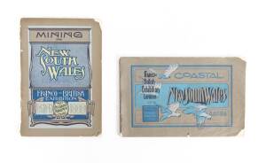 NEW SOUTH WALES AT THE EXHIBITION: "The Mineral Industry in New South Wales" (28pp) & "Coastal New South Wales - The Pacific Littoral" (48pp); pamphlets issued by the Intelligence Department of the Government of New South Wales and aimed at "Intending Emi