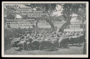 "SEMI-OFFICIAL" POSTCARDS - WESTERN AUSTRALIA: Government Lithographer Perth promotional cards in black comprising