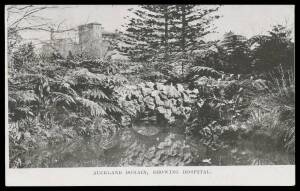 EXHIBITION POSTAL CARDS - HALFPENNY GREEN with VIEWS IN BLACK: Samuel&nbsp;#AB3a(b) "AUCKLAND DOMAIN, SHOWING HOSPITAL", fine unused.&nbsp;&nbsp;&nbsp;This is a beautiful issue of Postal Cards. There were 20 different views in both values.&nbsp;Robert Samuel&nbsp;states that 40,800 of