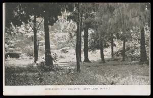 EXHIBITION POSTAL CARDS - HALFPENNY GREEN with VIEWS IN BLACK: Samuel #AB3a(s) "SUNLIGHT AND SHADOW, AUCKLAND DOMAIN", fine unused.