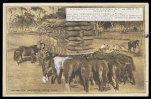 AUSTRALIAN PAVILION: 1923 Commonwealth Immigration Office picture postcards all but one with several printed messageses encouraging a visit to the Australian Pavilion "next year" & promoting British migration, the other with most of those messages removed
