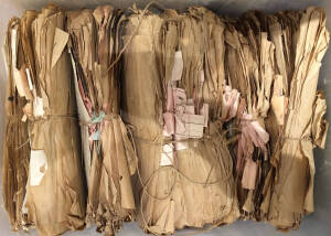 TELEGRAMS: Large carton of c.1920s Wheatstone telegrams in original bundles. NO RESERVE. (many 100s)