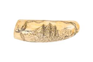 A scrimshaw whale's tooth ♦