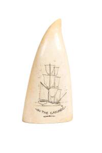 A scrimshaw whale's tooth titled "On The Ground" ♦