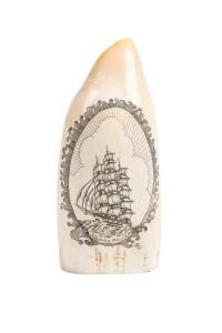 A scrimshaw whale's tooth titled "Square Rigger" ♦