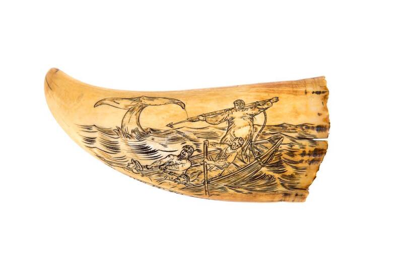 A scrimshaw whale's tooth titled "Give It To Him" ♦