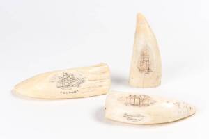 Group of 3 scrimshaw whale's teeth with tallships ♦