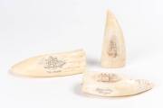 Group of 3 scrimshaw whale's teeth with tallships ♦