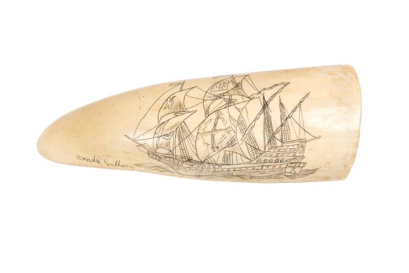 A scrimshaw whale's tooth titled "Armada Galley" ♦